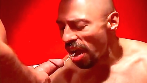 Mas nowadaysi rumpsy temperto