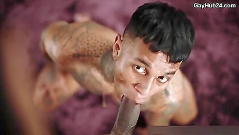 Maria, alex cuckhunter & wild fuck