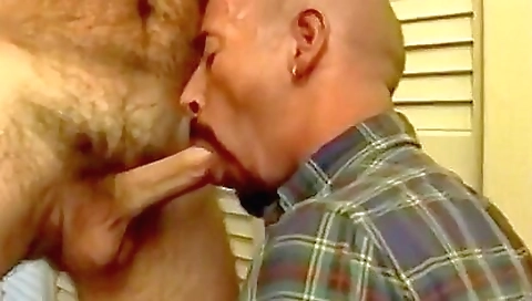 Hot nipika fing obedi dildo up her ass